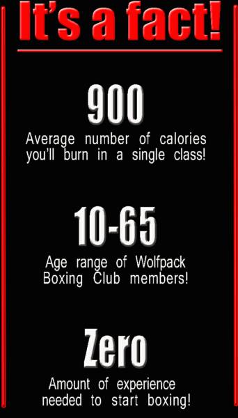 Wolfpack Boxing Club burns calories